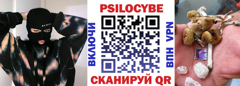 где можно купить   Михайловск  гидра зеркало  Псилоцибиновые грибы Psilocybe 
